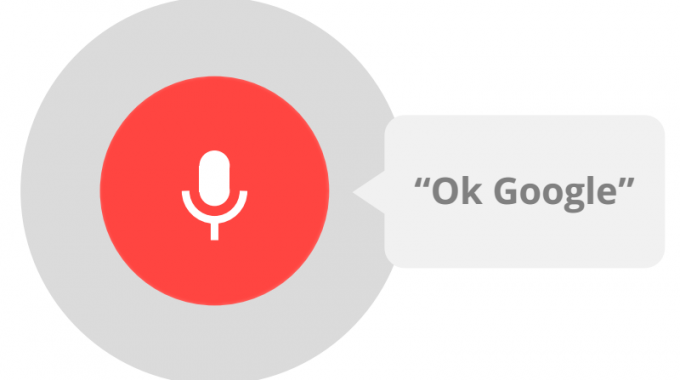 Google Voice